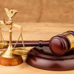 D'Amore Law Group ico