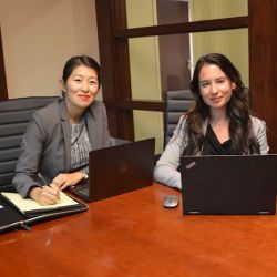 Lee and Cohen Law ico