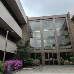 Murano & Roth, LLC ico