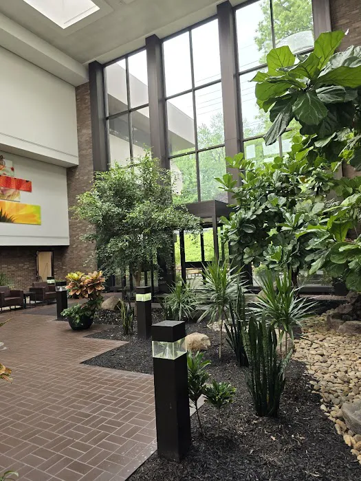 Murano & Roth, LLC 3