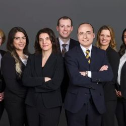 Milvidskiy Law Group P.C. ico