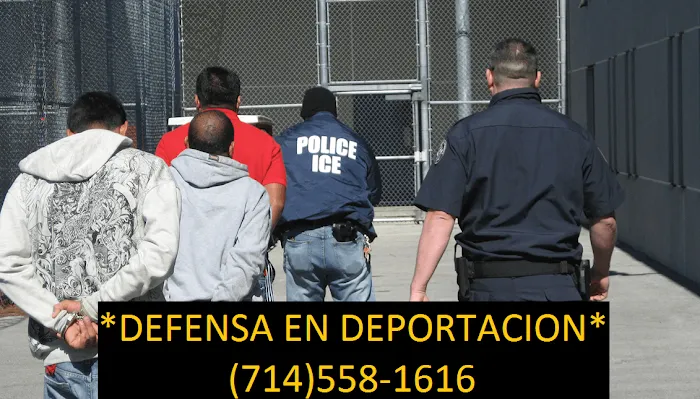 SERVICIOS LEGALES 9