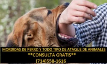 SERVICIOS LEGALES