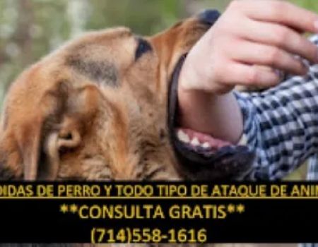 SERVICIOS LEGALES