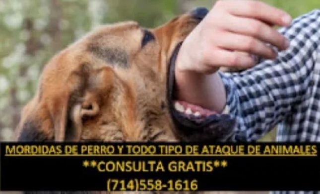 SERVICIOS LEGALES