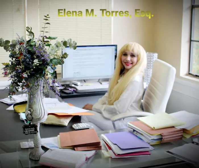 Law Office of Elena M. Torres 7