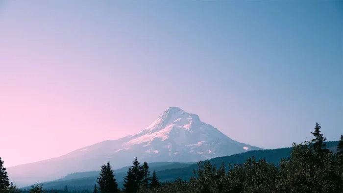 DuBois Law Group - PDX Injury Law 9