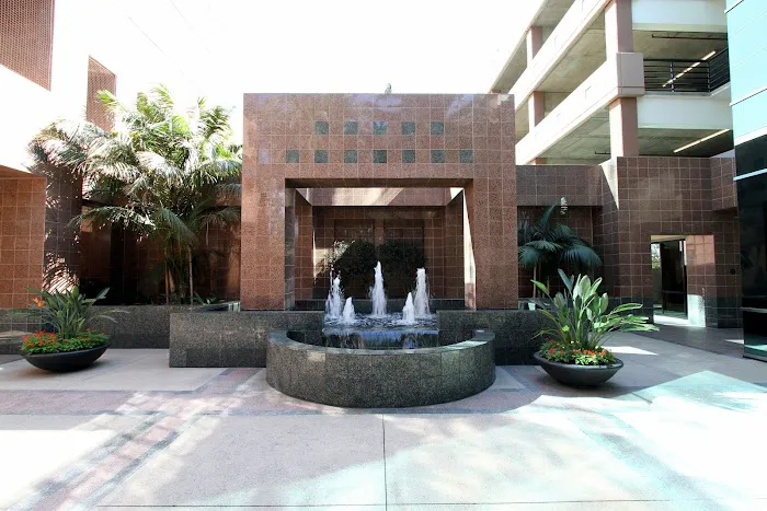 Law Office of Anthony J. Nunes 4