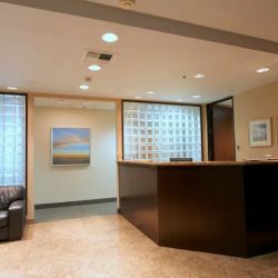 Law Office of Anthony J. Nunes ico