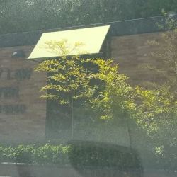 Hala J. Gores Attorney at Law - Injury Law Center ico