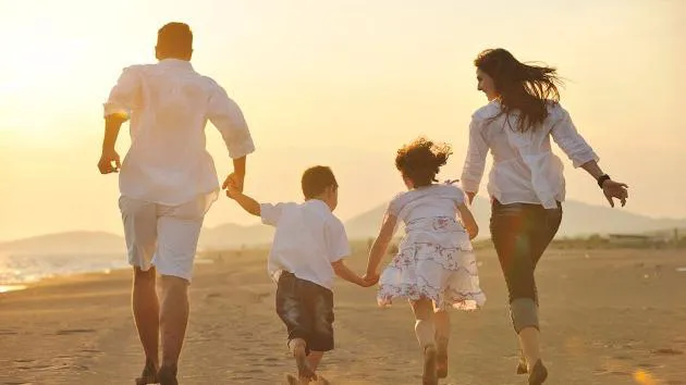 Johnston Family Law 2