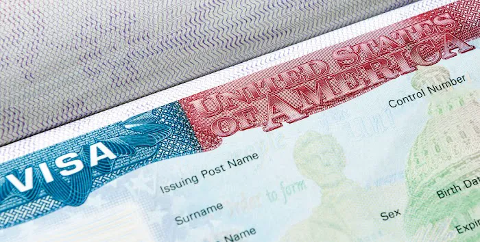 Bailey Immigration 9