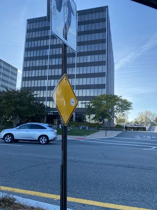 Canadian Law Group LLC 3