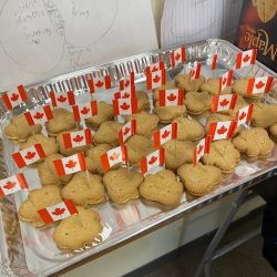 Canadian Law Group LLC ico