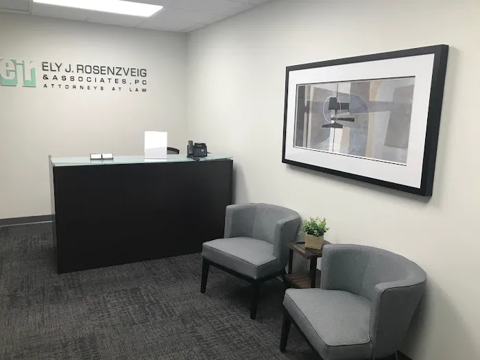 Ely J. Rosenzveig & Associates, P.C. 2
