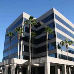 Wilson Tax Law Group - Yorba Linda Tax Attorney ico
