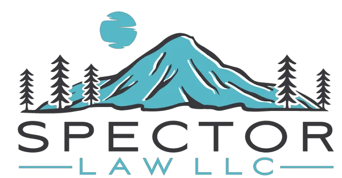 Spector Law 1