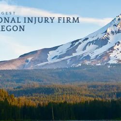The Gatti Law Firm ico