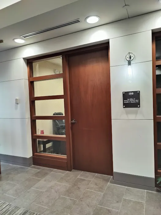 Law Office Of Michael E. Navarro, PLLC 1