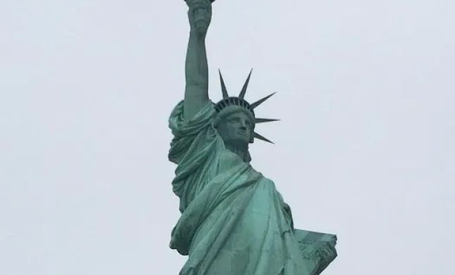 Joanna Schaffer, Immigration Lawyer