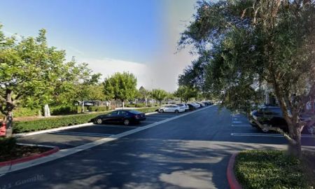 Frances Prizzia Criminal Defense Lawyers