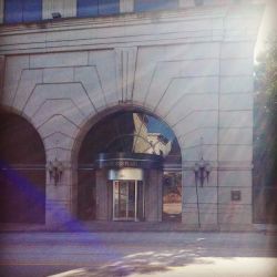 The Sandifer Law Firm, LLC ico