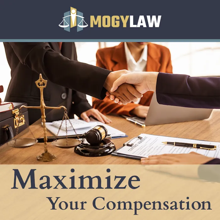 Mogy Law 7