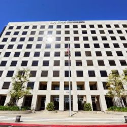 Law Offices of Sean S. Vahdat and Associates APLC ico