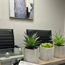 The Accident Network Law Group ico