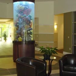 Lake Norman Wealth Counsel ico