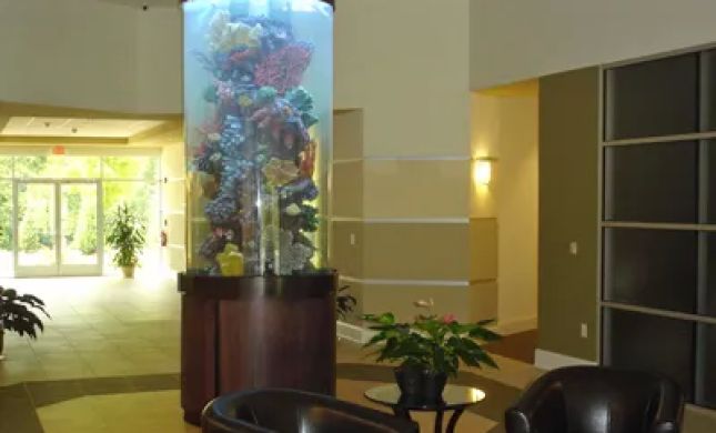 Lake Norman Wealth Counsel