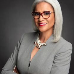Saundra M. Davis, P.C. Law Firm ico