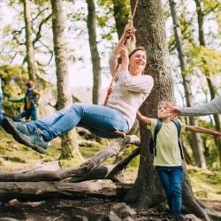 Velasco Law Group | Probate Lawyers | Trust Litigation | Inheritance Disputes ico