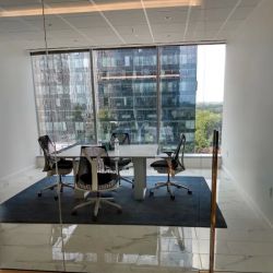 The Law Offices of Julian Lewis Sanders & Associates ico