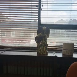 Passaic Lawyers Bldg. One Home Avenue ico