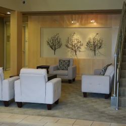 Bridge Law LLP | Corporate, Tax & Estate Planning Attorneys ico