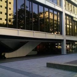 McEwen Gisvold LLP ico