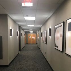 Law Office of Carl Spector ico