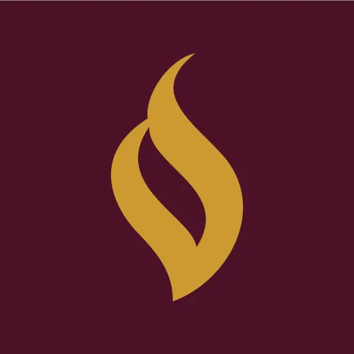 Salonga Law, PLLC 0