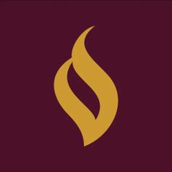 Salonga Law, PLLC ico