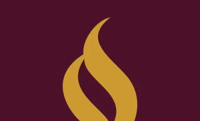 Salonga Law, PLLC