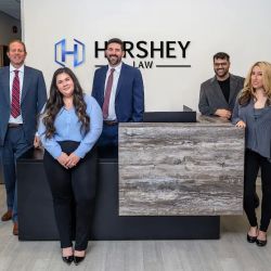 Hershey Law, P.C. ico