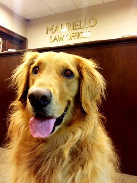 Mauriello Law Offices, P.C. 1