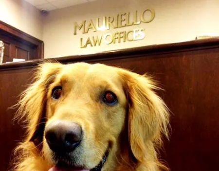 Mauriello Law Offices, P.C.