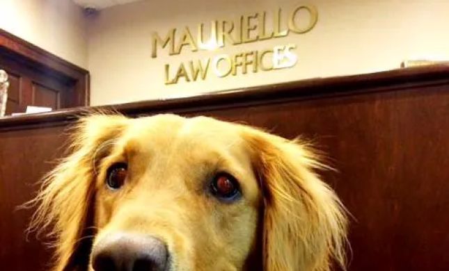 Mauriello Law Offices, P.C.