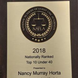 Law Offices of Nancy Murray Horta, Esq., LLC ico