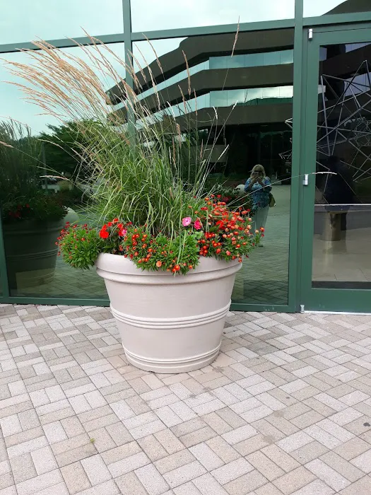 Steven M Greco & Associates 0