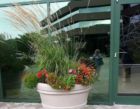 Steven M Greco & Associates