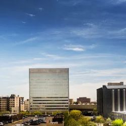 Vouté, Lohrfink, McAndrew & Meisner, LLP ico