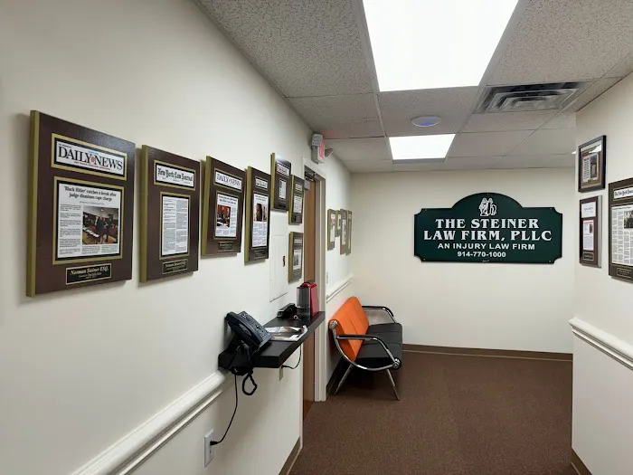 The Steiner Law Firm, PLLC 3